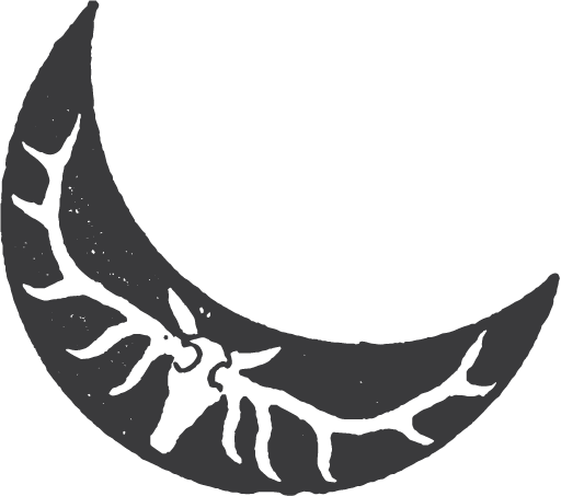 I'm Anita, A Film-inspired, Photo Journalistic Wedding - Moon - Free Transparent PNG Clipart Images Download. - Wedding Transparent PNG Free Download