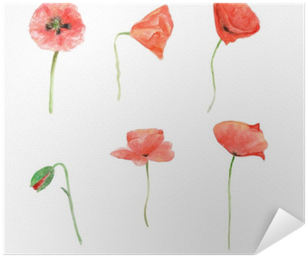 Red Poppy, Watercolor Flower Collection, Floral Hand - Papavero Acquerello Transparent PNG - 400x400 - Free Download on - Wedding Transparent PNG Free Download