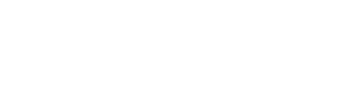 Wedding Photographer - Karolina Ehrenpil - Twitter White Icon Png Transparent PNG - 743x200 - Free Download on - Wedding Transparent PNG Free Download