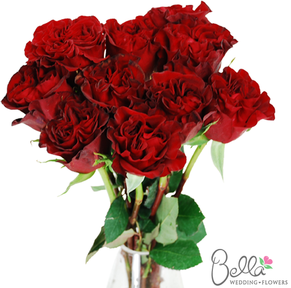 Hearts Garden Roses Are One Of The Newest Hot Items - Wedding - Free Transparent PNG Clipart Images Download. - Wedding Transparent PNG Free Download