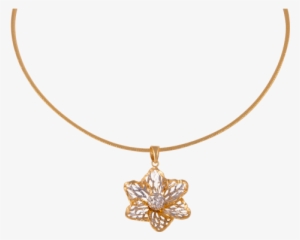 Wedding Gold Necklaces For Sri Lankan Brides Www - Gold Jewellery Designs Sri Lanka Transparent PNG - 600x600 - Free Download on - Wedding Transparent PNG Free Download
