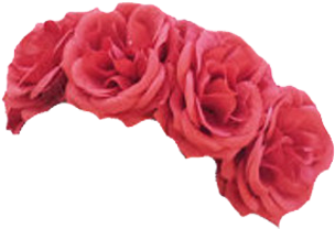 Wedding Flower Crown Hairstyle - Rose Flower Crown Png - Free Transparent PNG Clipart Images Download. - Wedding Transparent PNG Free Download