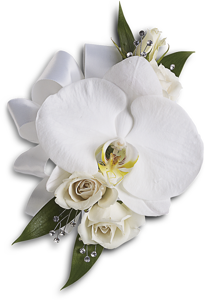 Bridesmaid And Wedding Party Flowers - White Orchid And Rose Corsage - Free Transparent PNG Clipart Images Download. - Wedding Transparent PNG Free Download