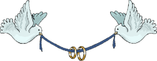 Wedding Dove Png - Congratulations On Your Wedding Gif - Free Transparent PNG Clipart Images Download. - Wedding Transparent PNG Free Download