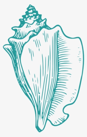 Wedding Shells Cliparts - Conch Shell Drawing Transparent PNG - 378x593 - Free Download on - Wedding Transparent PNG Free Download