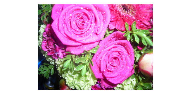From Seasonal Hand-tied Bouquets And Arrangement To - Garden Roses - Free Transparent PNG Clipart Images Download. - Wedding Transparent PNG Free Download
