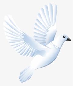 Doves Clipart Feather - Dove White Clipart, HD Png Download - Wedding Transparent PNG Free Download