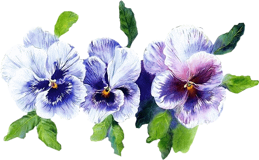 Pansies, Art Flowers, Vintage Cards, Wedding Invitation, - Bon Week End - Free Transparent PNG Clipart Images Download. - Wedding Transparent PNG Free Download