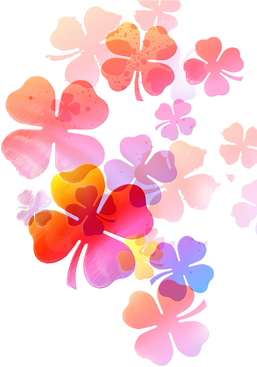 Flower Soft Drawing Png Image - 20th Wedding Anniversary Wish To My Wife - Free Transparent PNG Clipart Images Download. - Wedding Transparent PNG Free Download