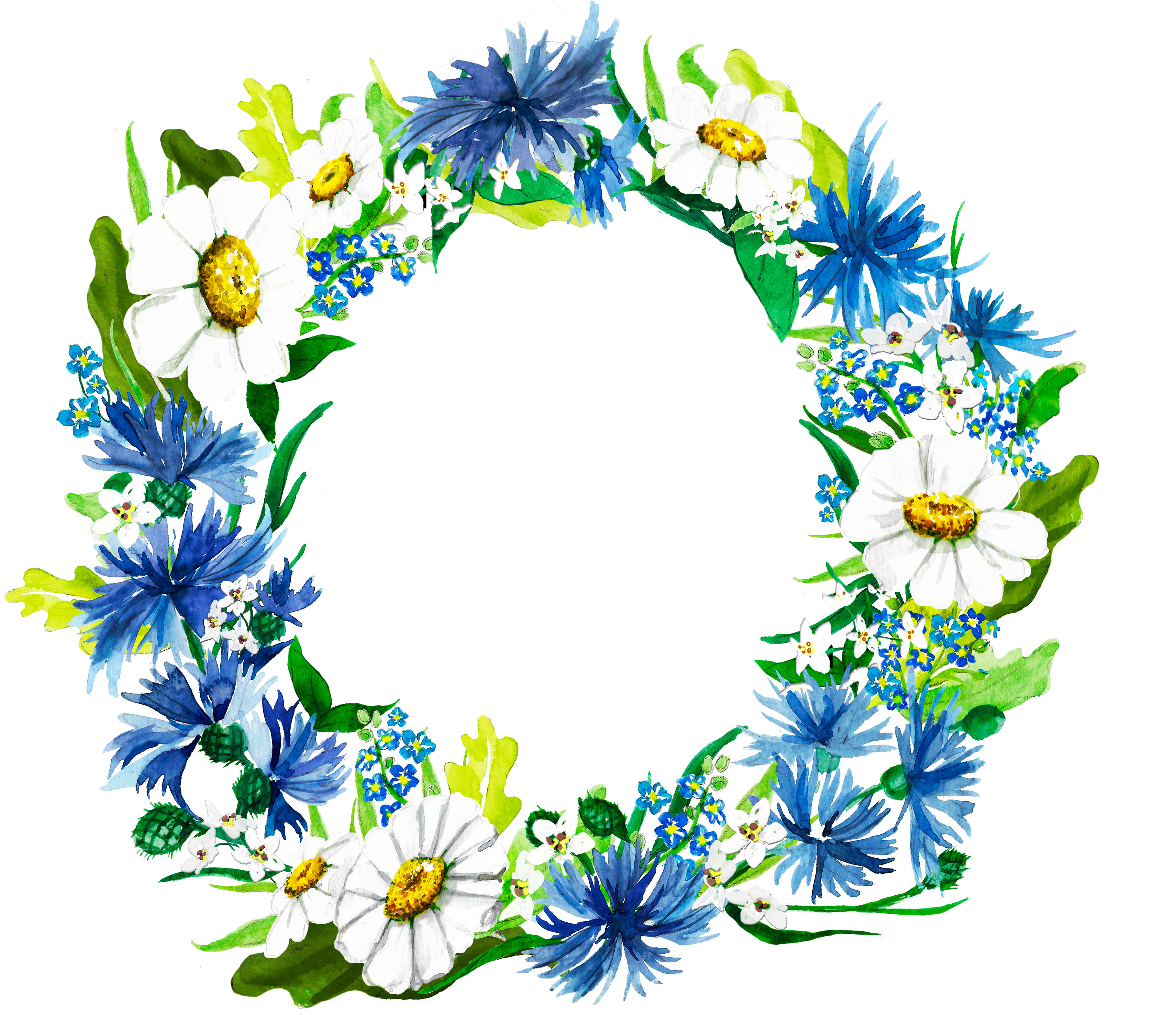 Watercolor Wreath Made Of The Bluebottle, Margaret - African Daisy Transparent PNG - 3840x3579 - Free Download on - Wedding Transparent PNG Free Download