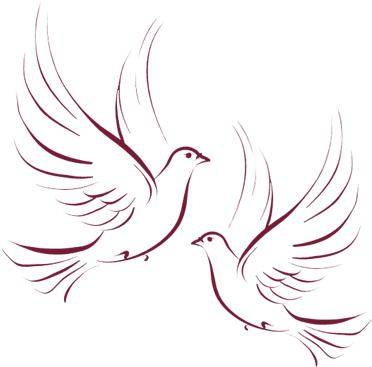 Descending Dove Clipart Free Clipart Images - Dove - Free Transparent PNG Clipart Images Download. - Wedding Transparent PNG Free Download
