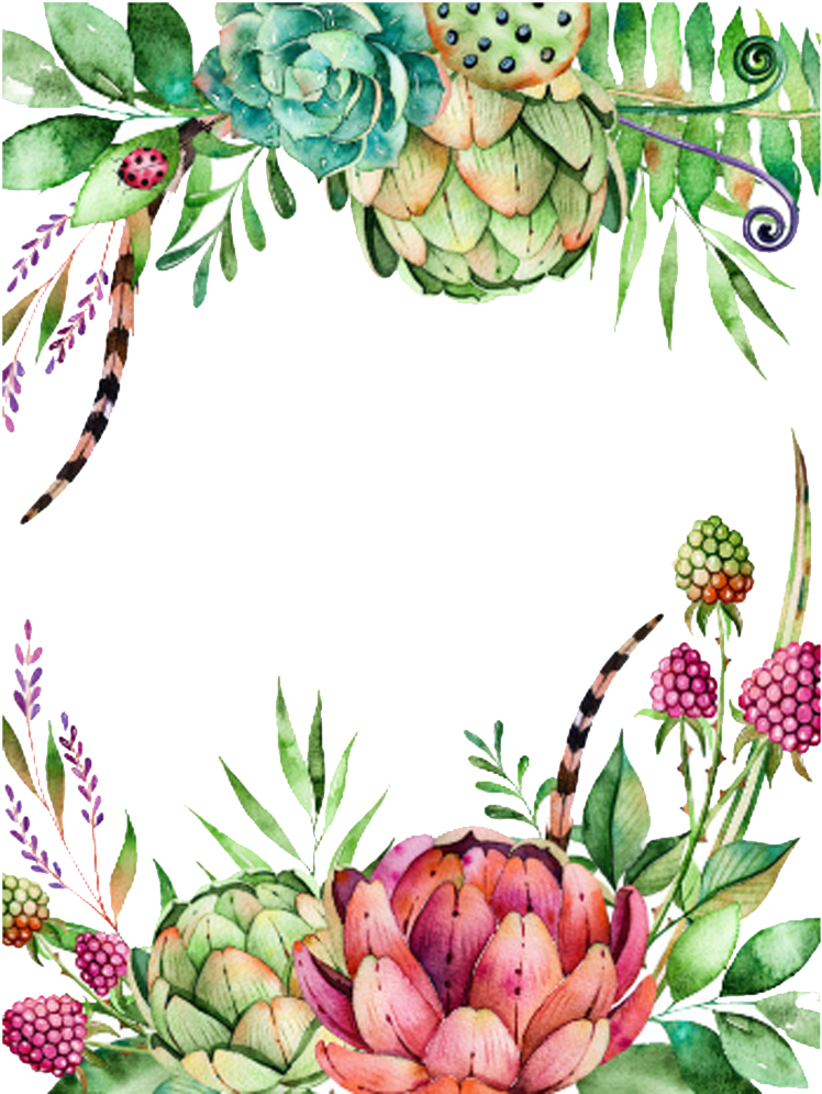 Banner Royalty Free Library Watercolor Succulent Clipart - Suculentas Con Flores Dibujos Transparent PNG - 1000x1000 - Free Download on - Wedding Transparent PNG Free Download