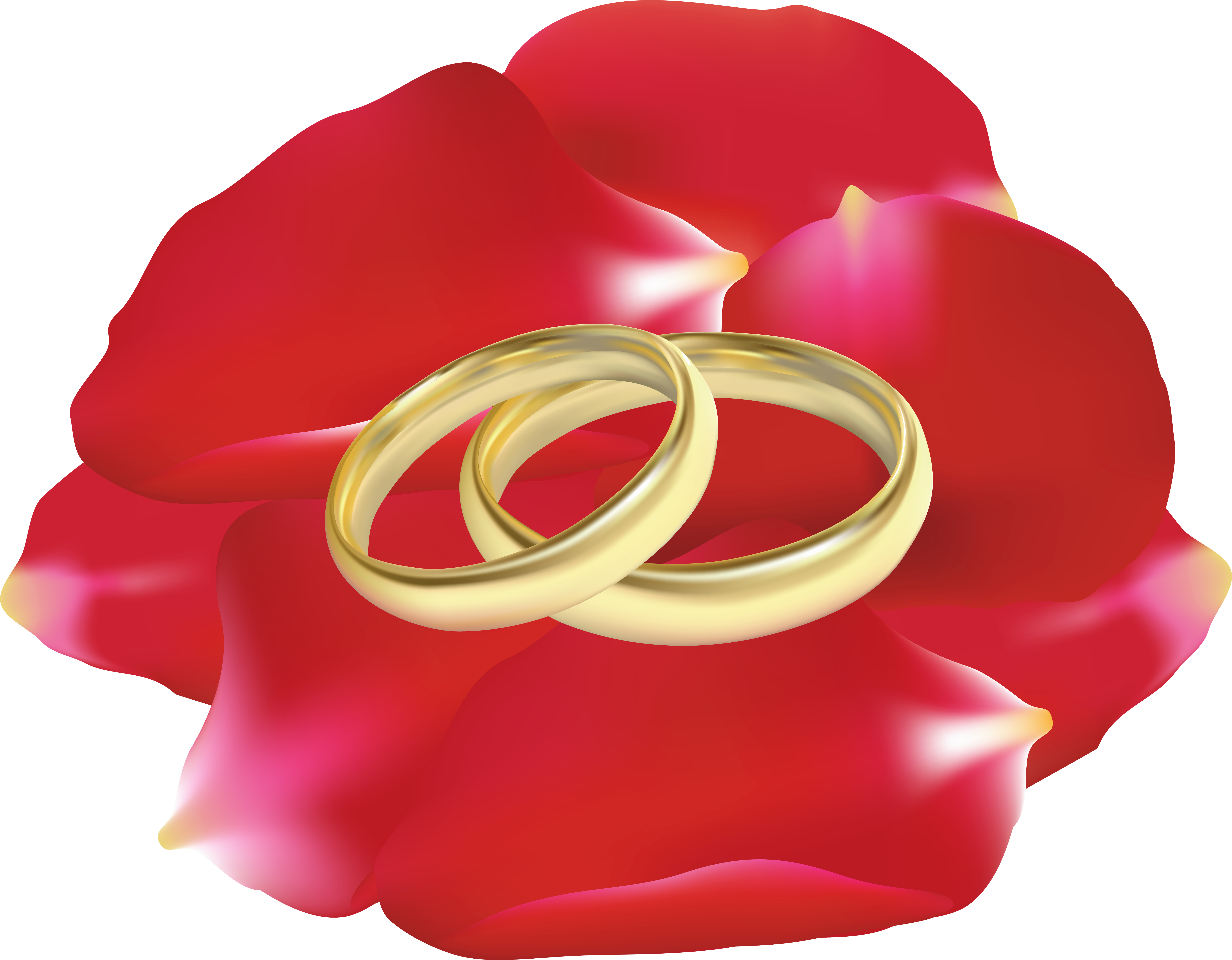 Wedding Rings In Rose Petals Png Clip Art - Wedding Rings In Rose Petals Png Clip Art - Free Transparent PNG Clipart Images Download. - Wedding Transparent PNG Free Download