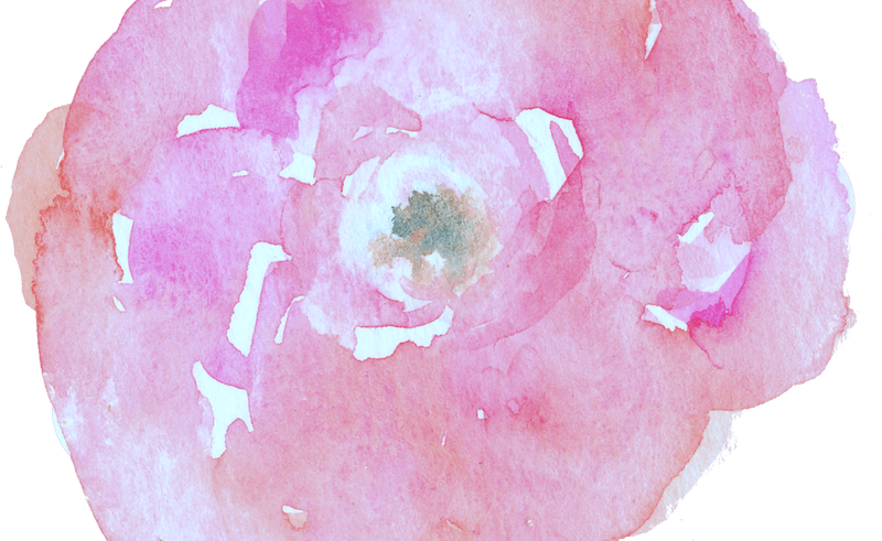 Flower Photographer Watercolor Painting Wedding Watercolor - Watercolor Painting Transparent PNG - 800x491 - Free Download on - Wedding Transparent PNG Free Download