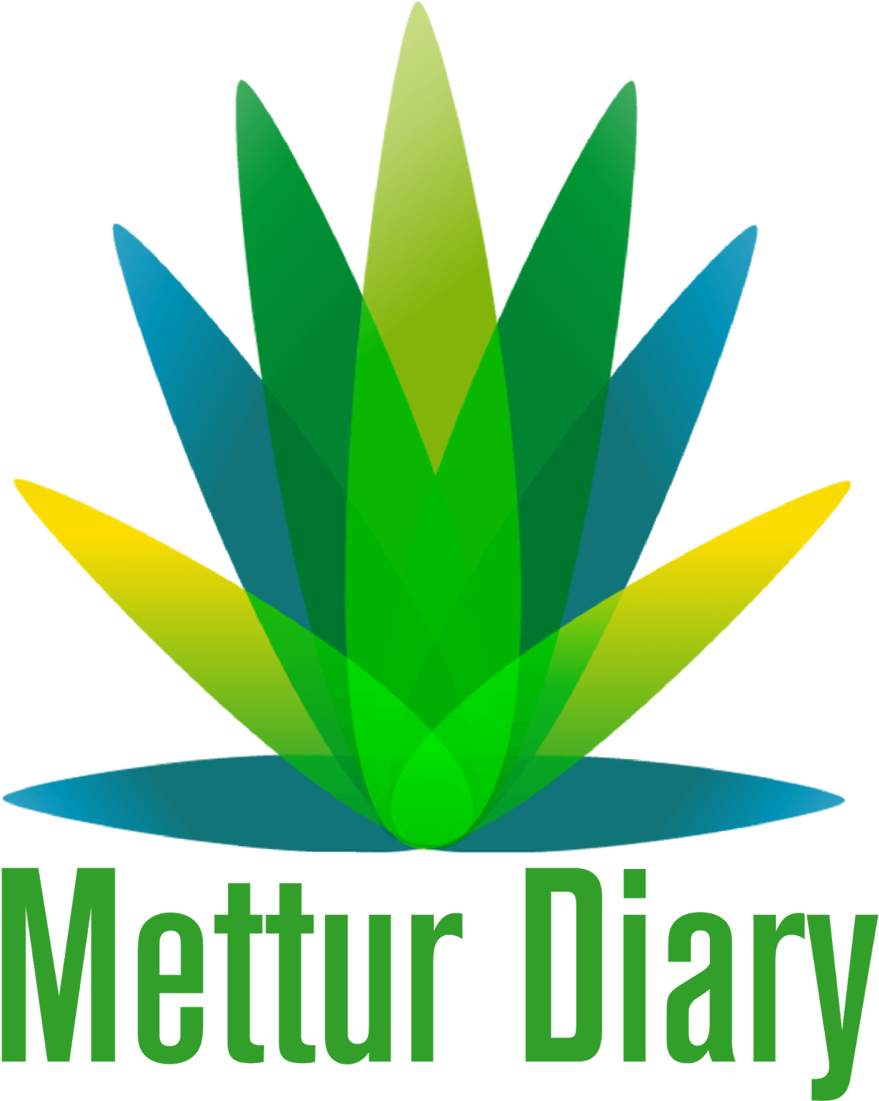 #best #candid #chennai #photographers #professional - Mettur Dam Water Level Now Transparent PNG - 1285x1600 - Free Download on - Wedding Transparent PNG Free Download