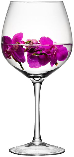 Little Rock Venues And Wedding Receptions - Lsa International Lsa Wine Glass H39cm - Free Transparent PNG Clipart Images Download. - Wedding Transparent PNG Free Download
