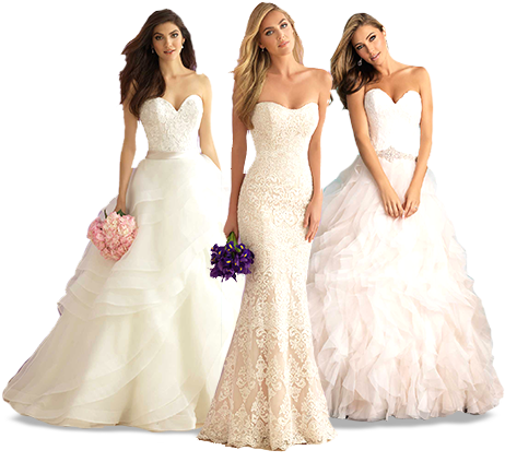 Sign Up For Our Specials - Women Wedding Dress Png Transparent PNG - 805x443 - Free Download on - Wedding Transparent PNG Free Download