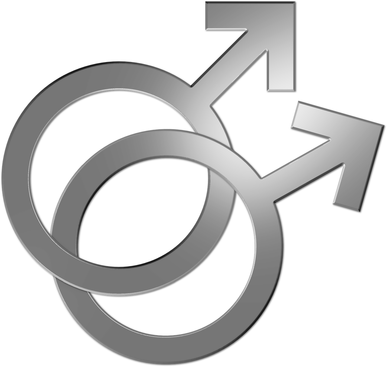 Wedding, Gay Symbol Couple Marriage Lgbt Pride Homo - สัญลักษณ์ Gay Transparent PNG - 1280x1212 - Free Download on - Wedding Transparent PNG Free Download