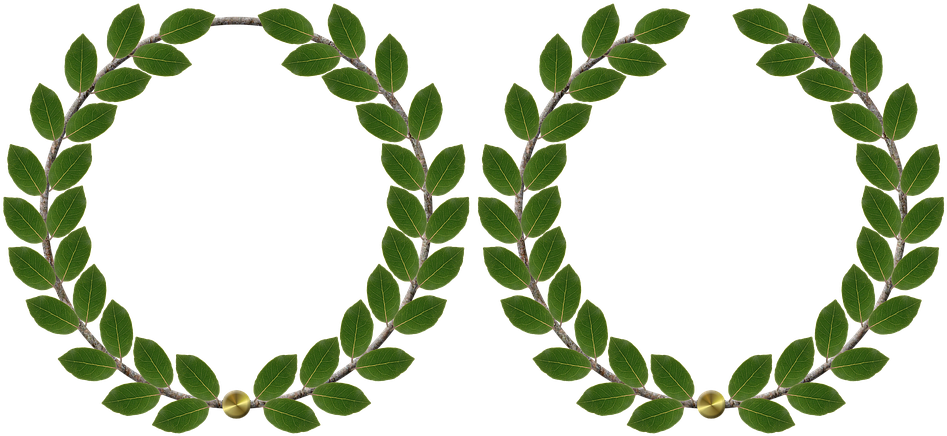25 Wedding Anniversary Cliparts - Michigan State Greek Week - Free Transparent PNG Clipart Images Download. - Wedding Transparent PNG Free Download