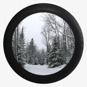 Snow Covered Pine Trees Winter Scene Jeep Camper Spare - Red Pine, HD Png Download - Winter Transparent PNG Free Download