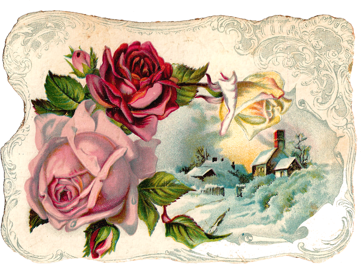 Free Digital Flower Pink Rose Corner Design Graphic - Vintage Flower Graphic Png - Free Transparent PNG Clipart Images Download. - Winter Transparent PNG Free Download