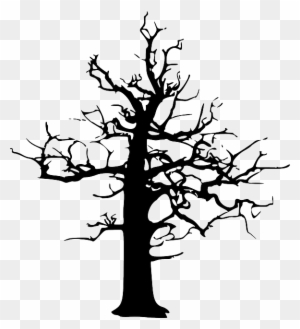 Forest Dieback, Forest Decline, Dead, Tree, Winter - Edgar Alla Poe Books Cover - Free Transparent PNG Clipart Images Download. - Winter Transparent PNG Free Download