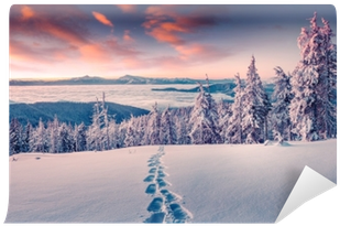 Foggy Winter Sunrise In The Snowy Mountain Wall Mural - Snow Transparent PNG - 400x400 - Free Download on - Winter Transparent PNG Free Download