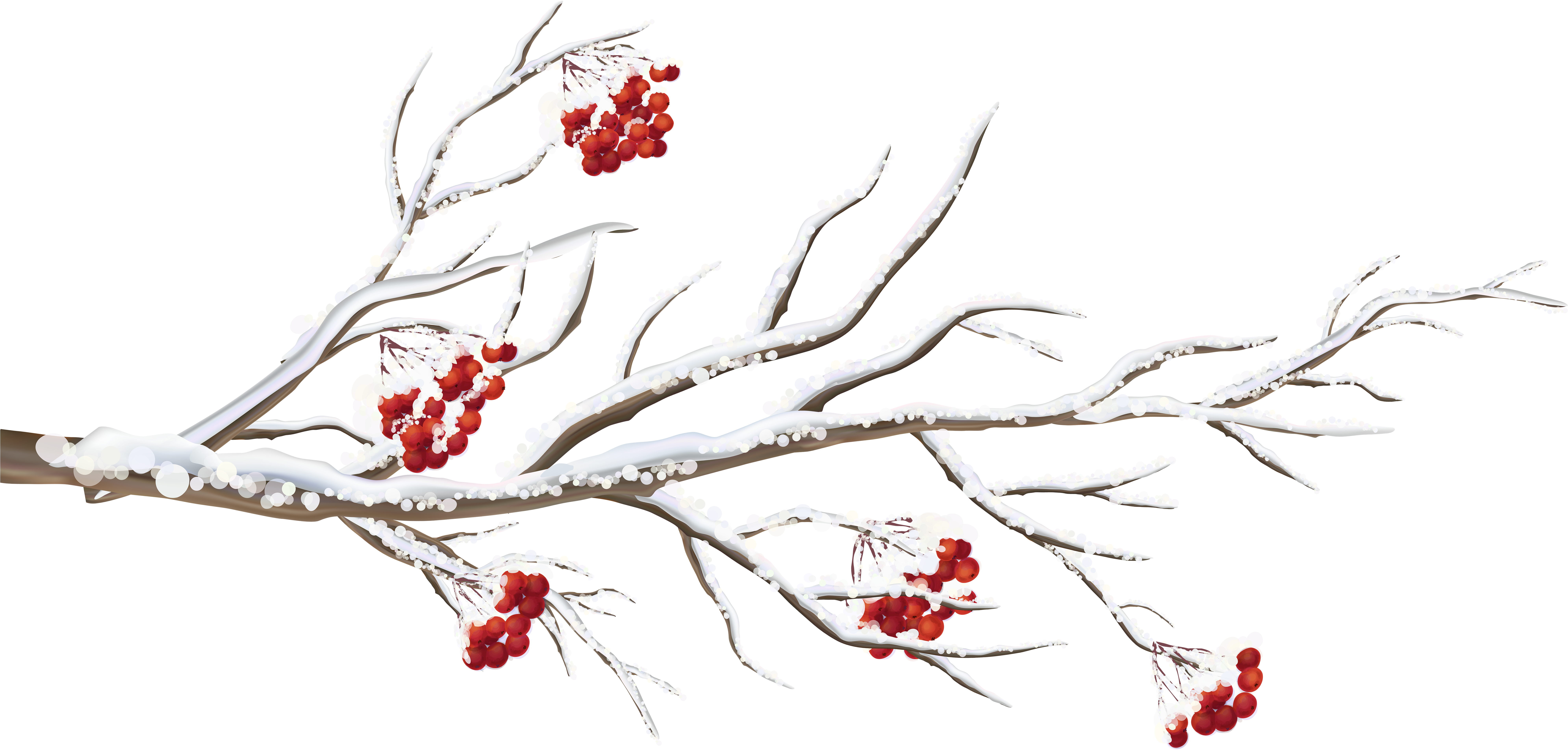 Winter Branch Png Clip Art Image - Wintry Cardinals Small Boxed Holiday Cards - Free Transparent PNG Clipart Images Download. - Winter Transparent PNG Free Download
