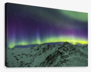 Aurora Borealis Over Mountains Within Denali National - Printscapes Wall Art: 36" X 24" Canvas Print With Black Transparent PNG - 429x344 - Free Download on - Winter Transparent PNG Free Download