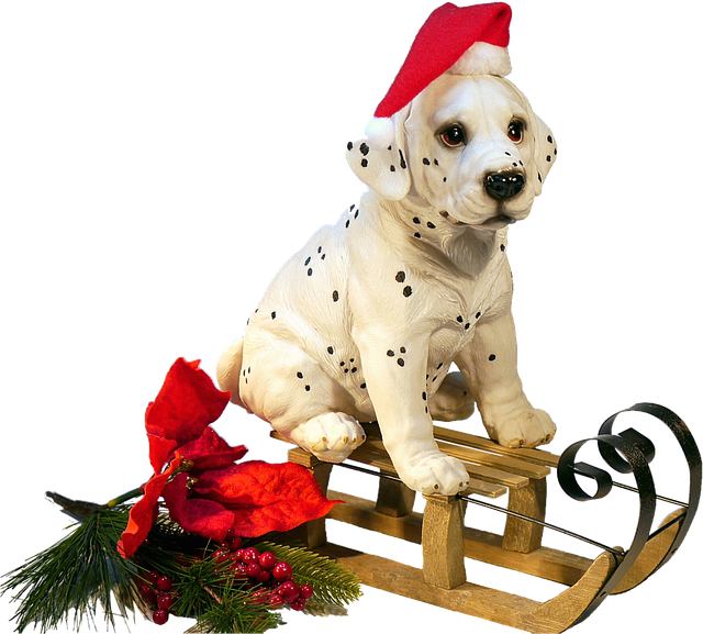 Isolated, Dog On Sledge, Christmas, Winter - Christmas Dog Transparent Png - Free Transparent PNG Clipart Images Download. - Winter Transparent PNG Free Download