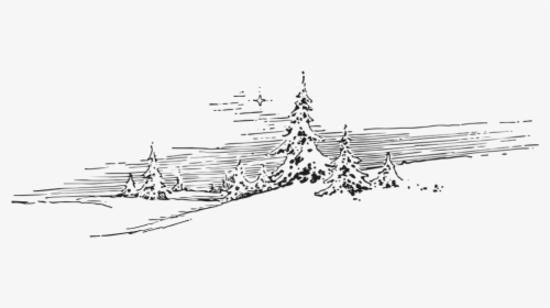Winter, Snow, Evergreen, Pine, Christmas, Holiday - Winter Wonderland Clipart Black And White, HD Png Download - Winter Transparent PNG Free Download