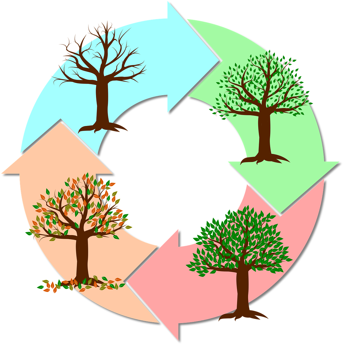 Seasons Of The Year Year Tree Nature Autumn Winter - Estações Do Ano Png - Free Transparent PNG Clipart Images Download. - Winter Transparent PNG Free Download