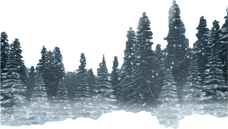 Forest Png Hd Photo - Winter Forest Png Transparent PNG - 800x735 - Free Download on - Winter Transparent PNG Free Download