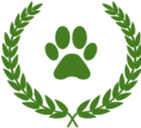 The Dreamlike Position On A High Plateau In Ötztal - The Dreamlike Position On A High Plateau In Ötztal - Free Transparent PNG Clipart Images Download. - Winter Transparent PNG Free Download