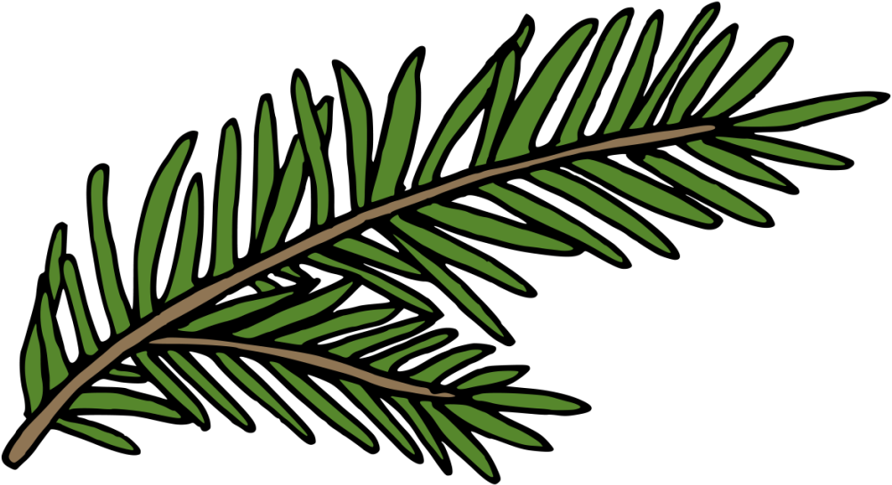 A Hand Painted Green Fern Winter Transparent Decorative - A Hand Painted Green Fern Winter Transparent Decorative - Free Transparent PNG Clipart Images Download. - Winter Transparent PNG Free Download