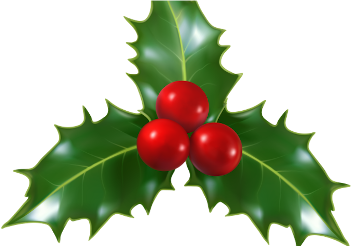 Winter In The Garden Holiday Festival Is A Seasonal - Winter In The Garden Holiday Festival Is A Seasonal - Free Transparent PNG Clipart Images Download. - Winter Transparent PNG Free Download