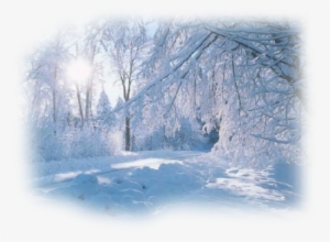 Winter Landscape ,jpg - Snow Landscape Transparent PNG - 500x363 - Free Download on - Winter Transparent PNG Free Download