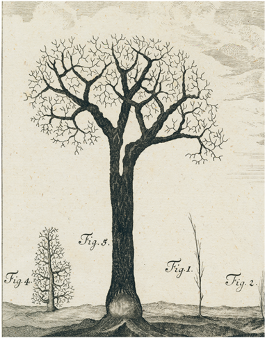 Winter Tree - Obraz Na Płótnie Kolaż News Gazeta Aa70x50-3207 Transparent PNG - 500x500 - Free Download on - Winter Transparent PNG Free Download