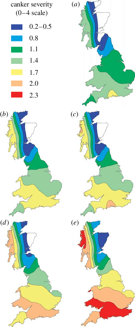 Predicted Severity Of Phoma Stem Canker At Harvest - Map Of Uk - Free Transparent PNG Clipart Images Download. - Winter Transparent PNG Free Download