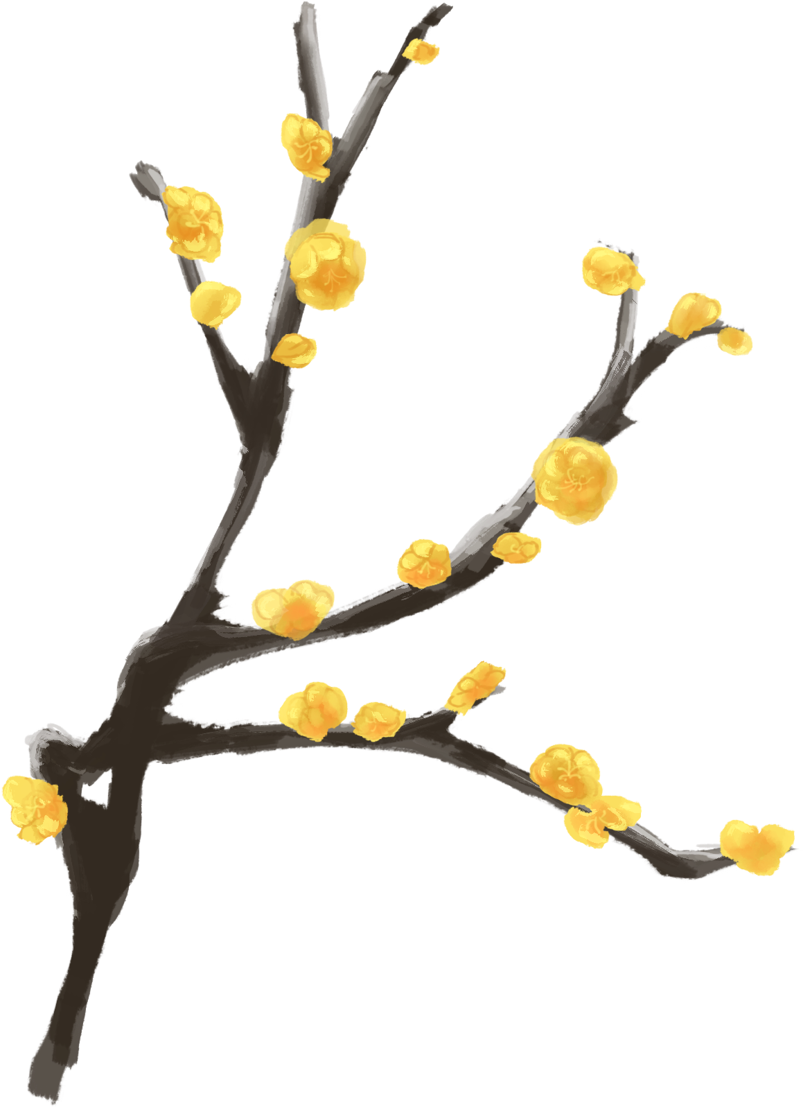 Ink Plum Hand Painted Branch Winter Antique Png And - Twig - Free Transparent PNG Clipart Images Download. - Winter Transparent PNG Free Download