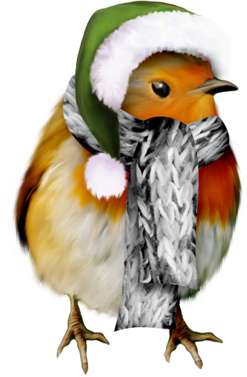 Winter Bird Clip Art - Pre-cut Winter Robin Edible Rice / Wafer Paper Cupcake - Free Transparent PNG Clipart Images Download. - Winter Transparent PNG Free Download