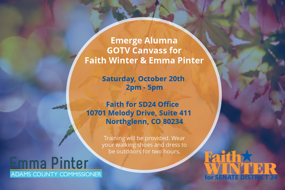 Emerge Alumna Canvass For Faith Winter And Emma Pinter - Snow Leia Feind Des Peace Imperiums Transparent PNG - 1200x800 - Free Download on - Winter Transparent PNG Free Download