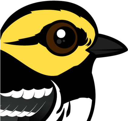 The Golden-cheeked Warbler Is A Small Species Of Migratory - Golden-cheeked Warbler - Free Transparent PNG Clipart Images Download. - Winter Transparent PNG Free Download