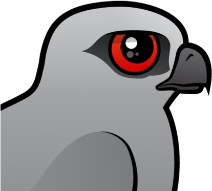 The Mississippi Kite Is A Medium Sized Bird Of Prey - Mississippi Kite - Free Transparent PNG Clipart Images Download. - Winter Transparent PNG Free Download