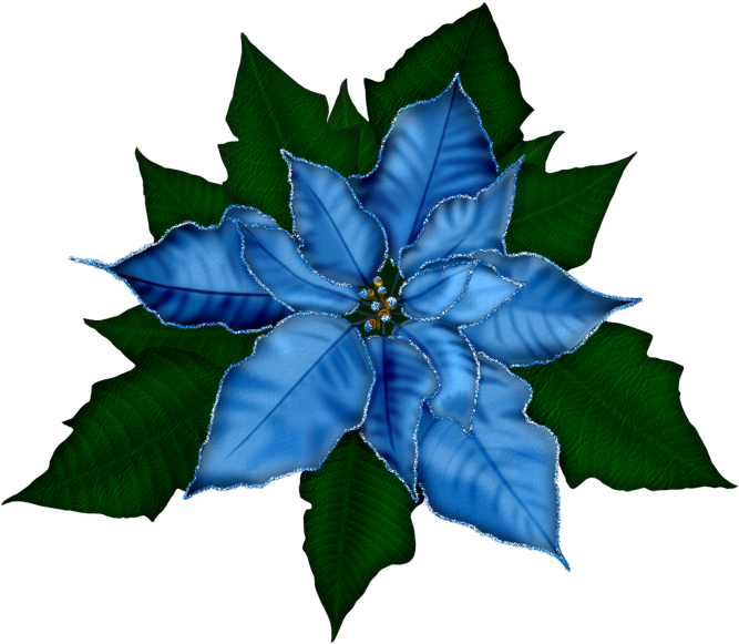 Fantasy Moments ~ Winter Impressions - Flores Navideños - Free Transparent PNG Clipart Images Download. - Winter Transparent PNG Free Download