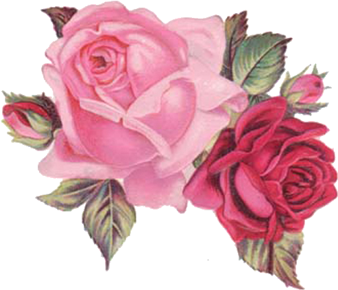 Vintage Flowersart - Viktorianische Winter-rosen Danken Ihnen Zu Karte - Free Transparent PNG Clipart Images Download. - Winter Transparent PNG Free Download