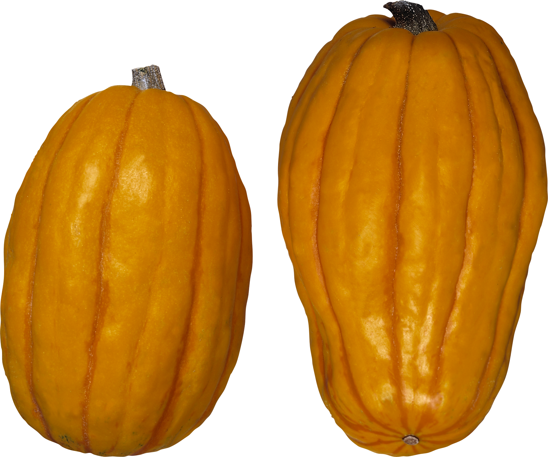 Pumpkin Png Images Free Download Banner Black And White - Winter Squash Transparent PNG - 1868x1560 - Free Download on - Winter Transparent PNG Free Download