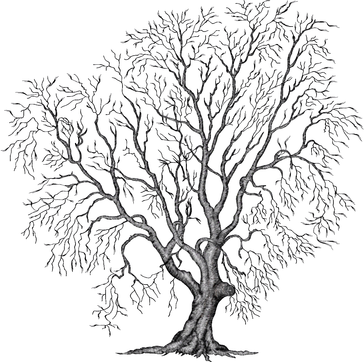Painting Tree Clipart Illustration Png File Autumn - Winter Tree Clipart - Free Transparent PNG Clipart Images Download. - Winter Transparent PNG Free Download