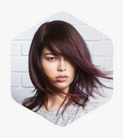 Hair Color Winter Trends, HD Png Download - Winter Transparent PNG Free Download