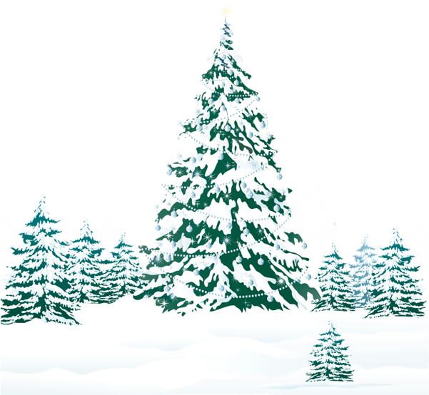 Snowy Winter Ground With Trees Png Clipart Image - Teal Christmas Tree Png - Free Transparent PNG Clipart Images Download. - Winter Transparent PNG Free Download